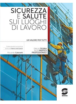 Sicurezza e salute nei luoghi di lavoro - S345